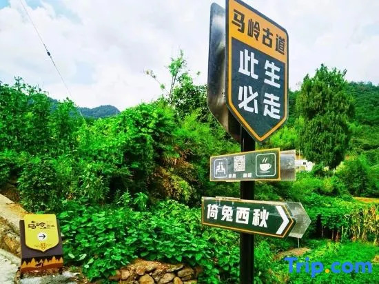 Yitu Xiqiu·Family Boutique Beauty Hotel