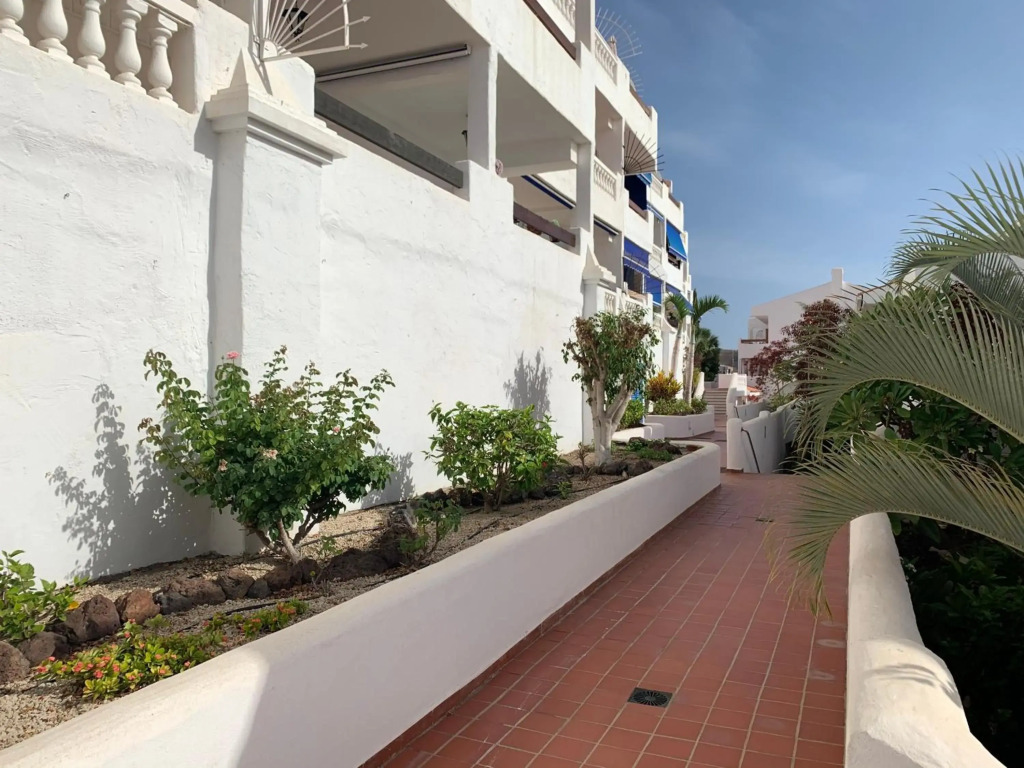 Sunny Tenerife, Los Cristianos, Studio