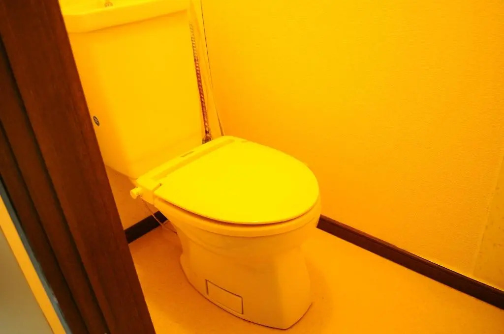 Petit Hotel Koizumi