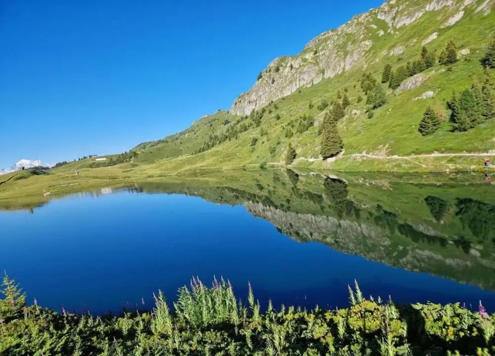 Cozy Stay Near Aletsch