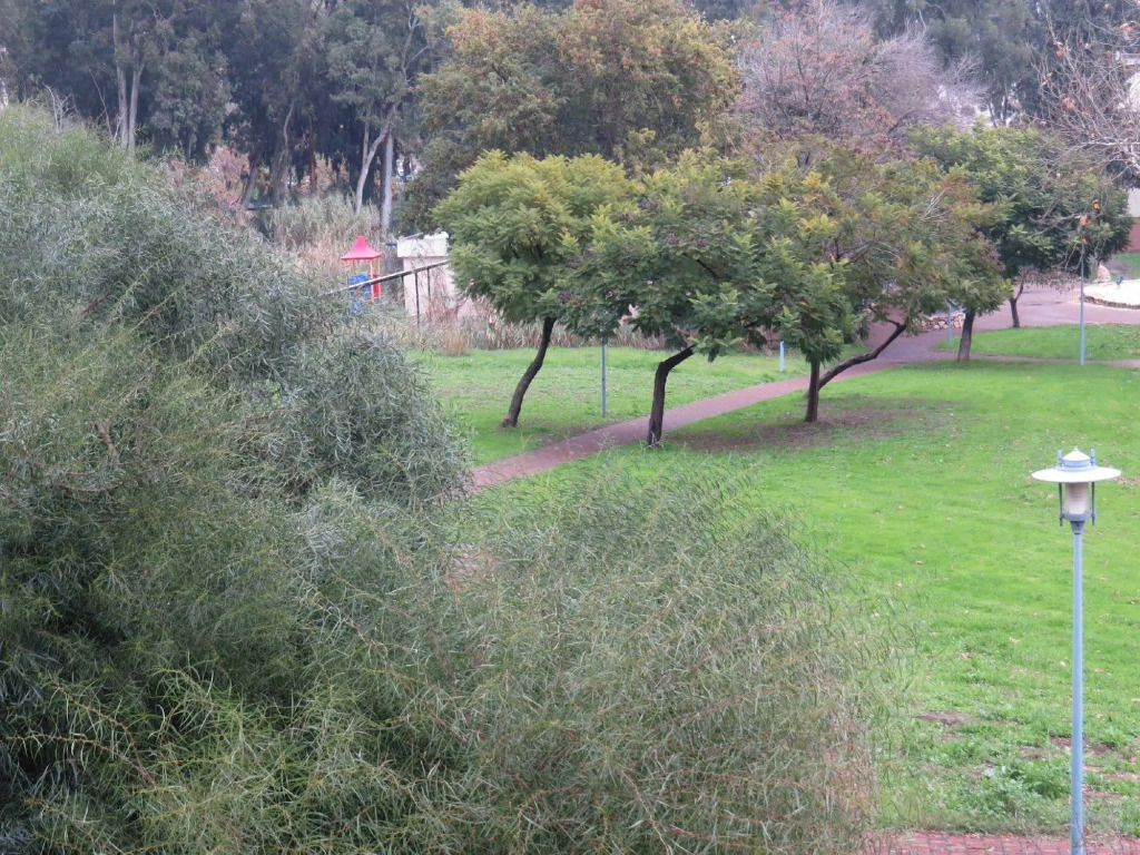 Agas Holiday Apartments Kiryat Shmona