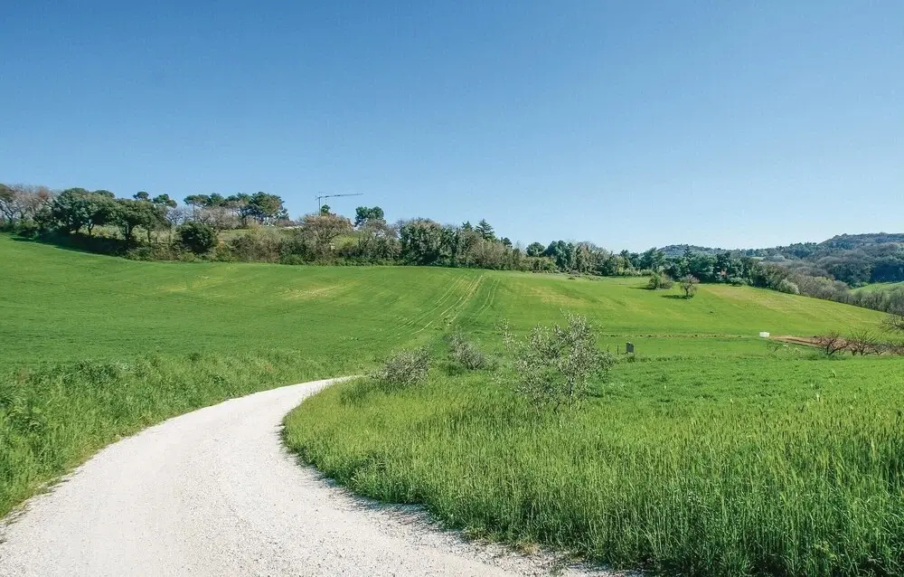 Strada Dei Condotti