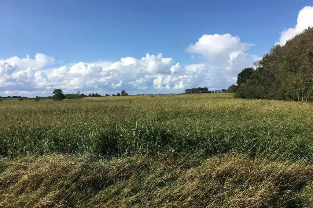 Moderne Unterkunft Landzeit Esens nahe der Nordsee - ökologisch saniertes Ferienhaus