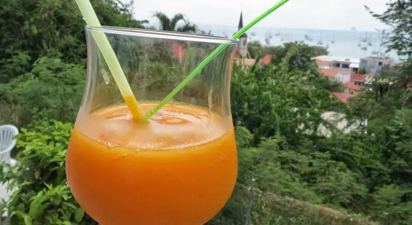 Villa Le Paradis