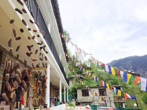 Bro's Backpacker's Fraternity House