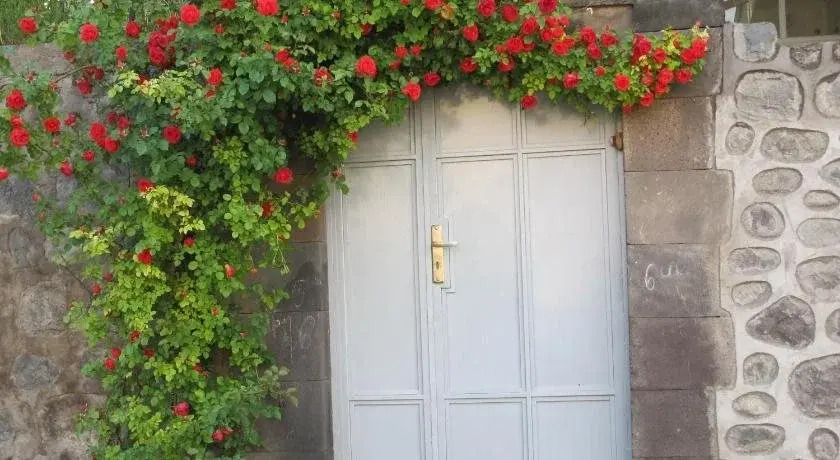 Lyova & Sons B&B