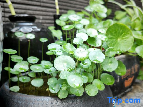 Shengtangli Homestay