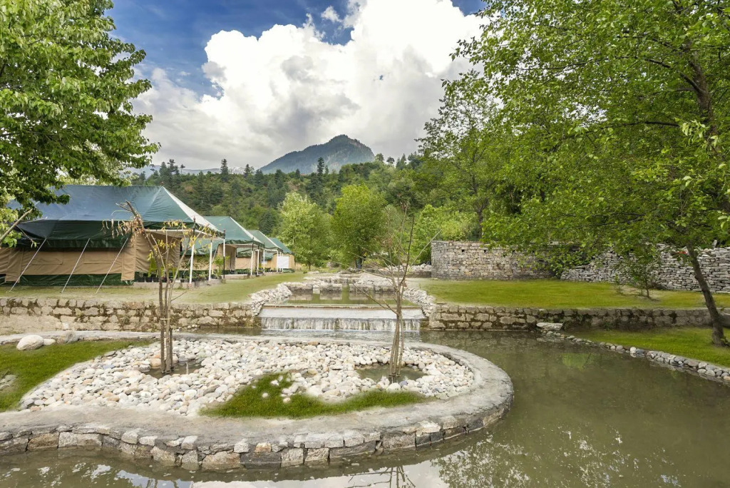 Tall Trees Resort
