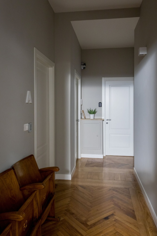 Rapanus Suites