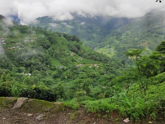 Tumsong Tea Retreat