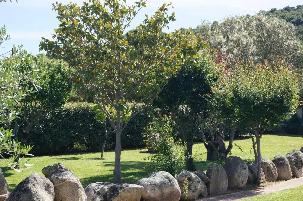 Les Jardins De Santa Giulia - Charmante chambre dhte 2