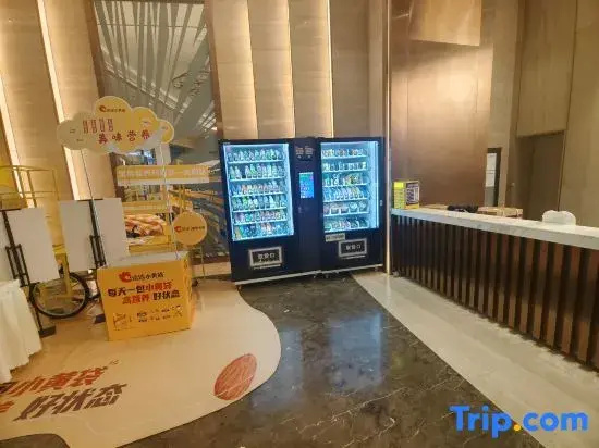 Westin Audio-Visual Homestay (Youth Street Subway Station & Color TV Tower Night Market Branch)