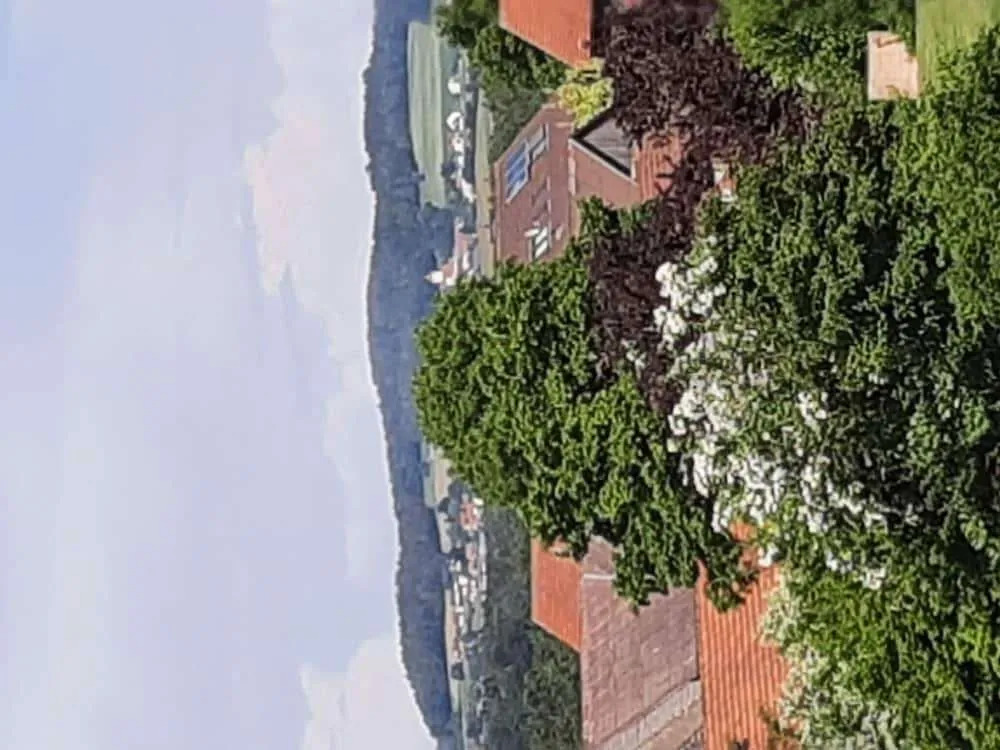 Garden Escape, Kleinwinklarn