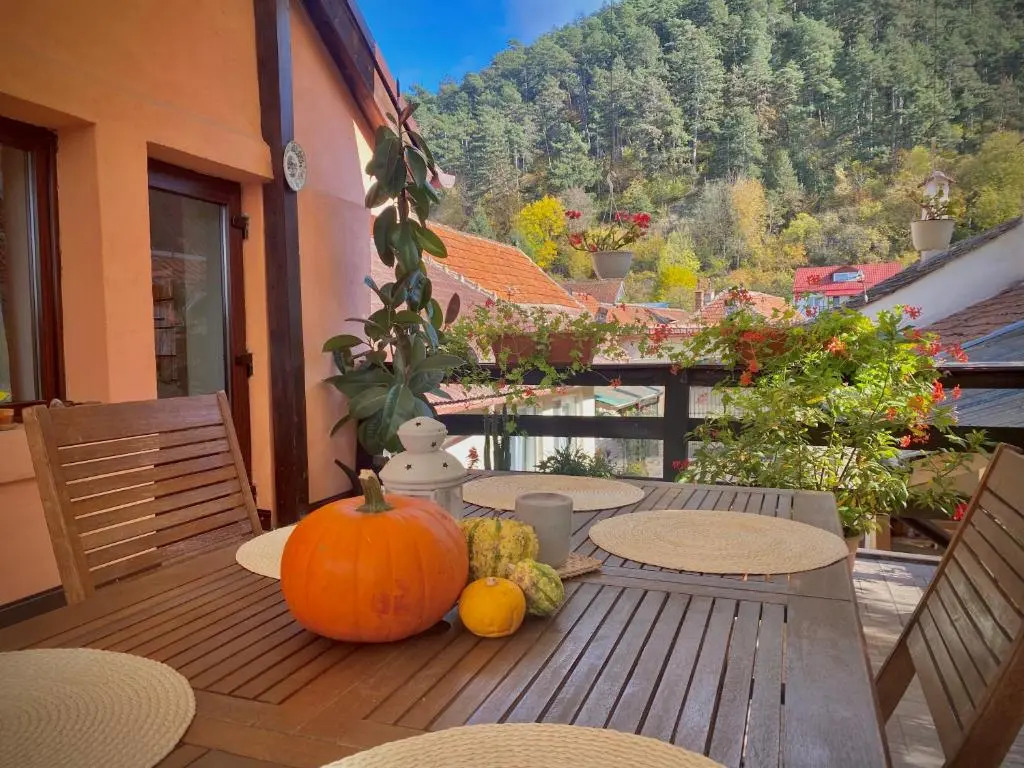 Victoria Gasthaus Rasnov - charming vacation house in Rasnov