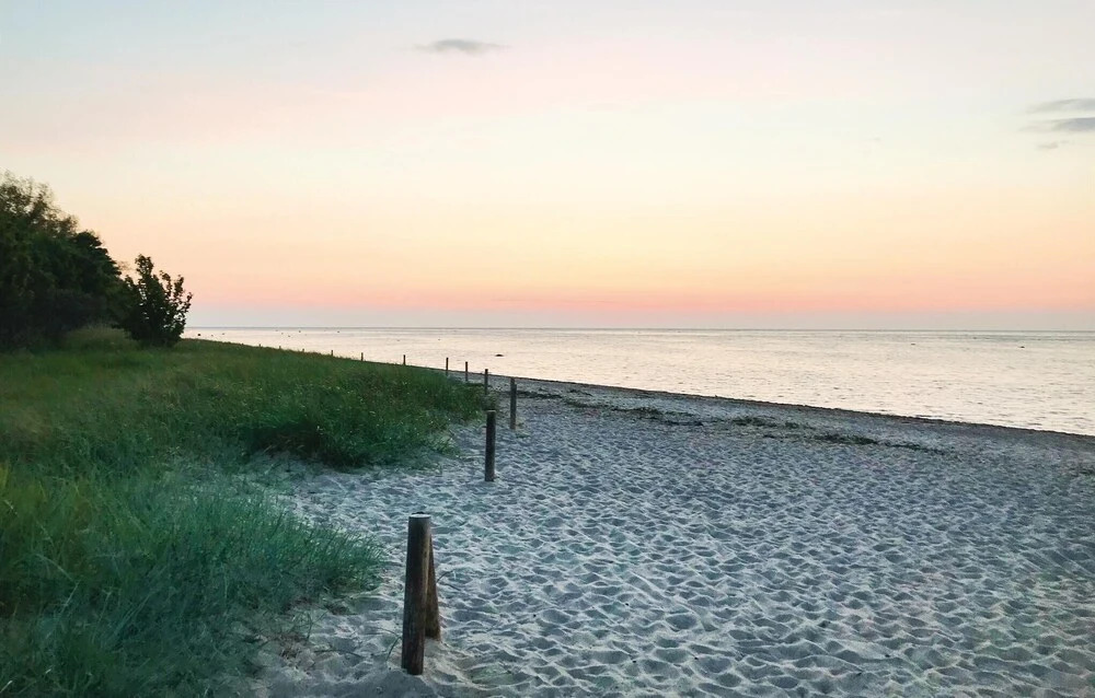 Strandhafer