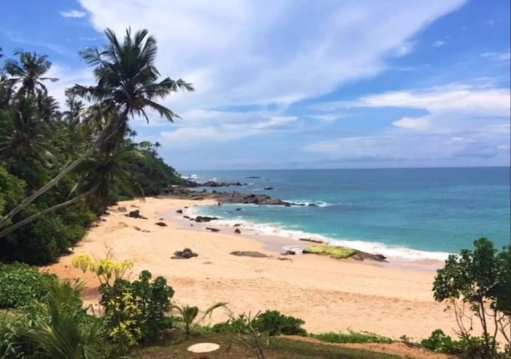 ParrotFish Bay