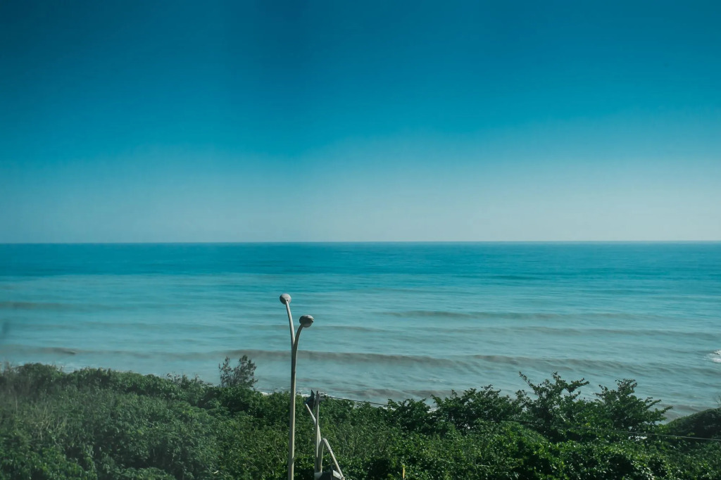 Ocean Paradise