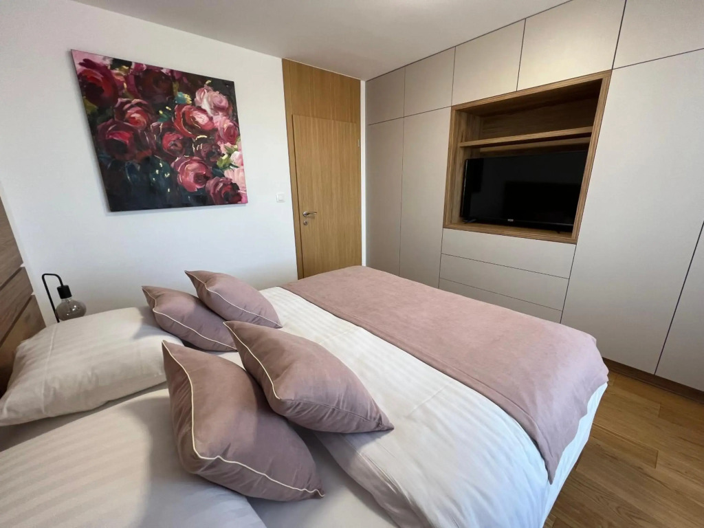 Downtown apartment Darinka