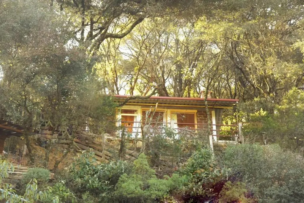 Cabaña El Encino Ii