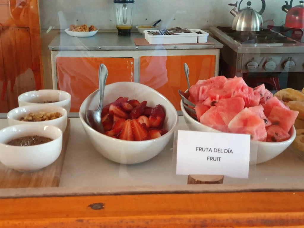 Hotel Jardin Atacama