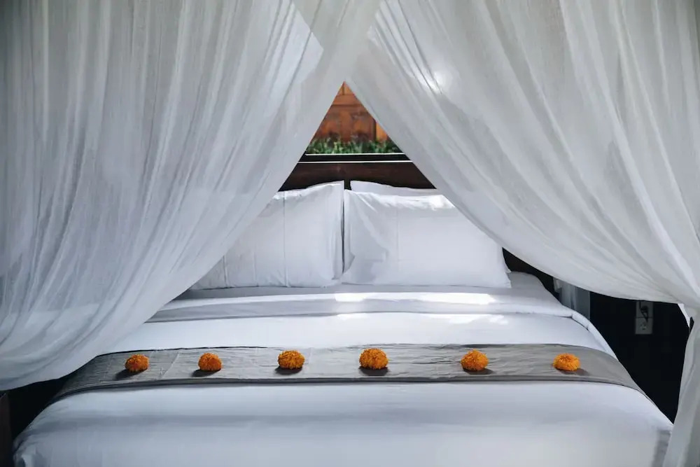 White Tortoise Eco Villas