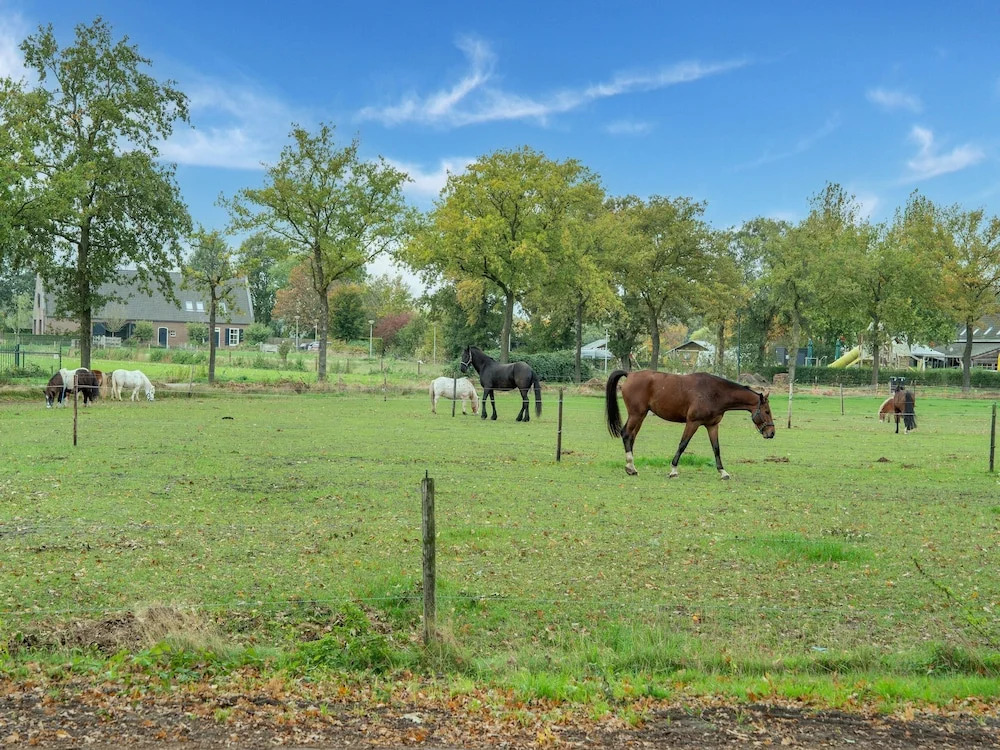 Holiday Home in Goirle near Efteling Park