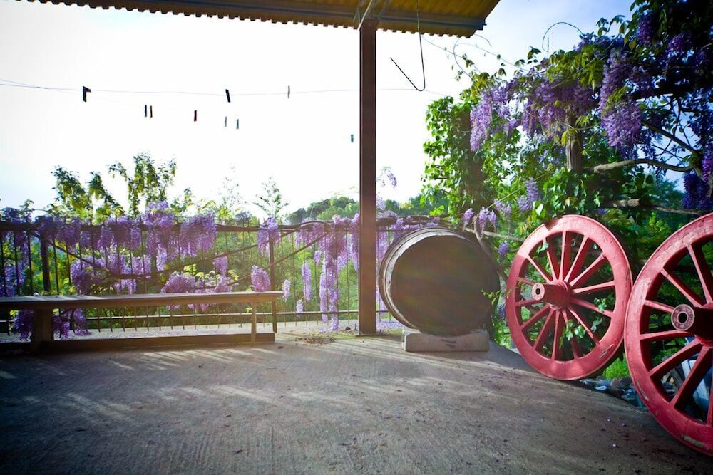 Agriturismo Cognanello
