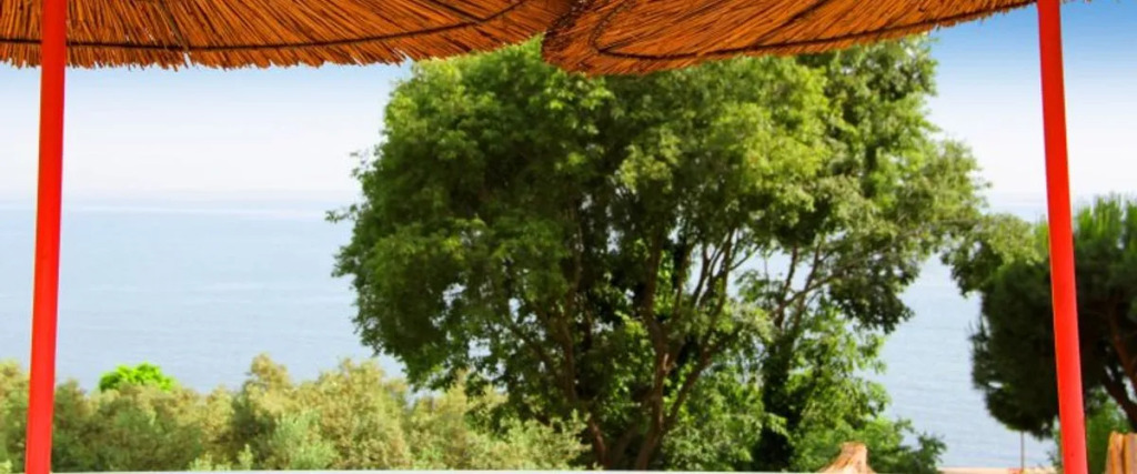 Biodenge Hotel