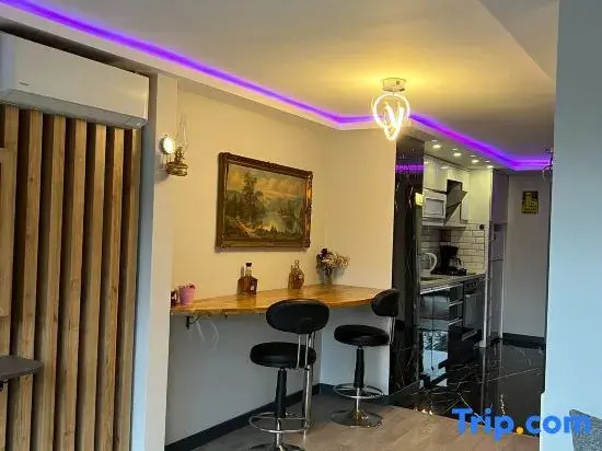 Stylish Apartment with Bosphorus View
