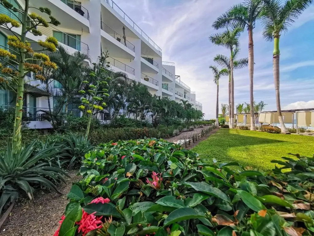 aria ocean Nvo Vallarta 2 sanitizado