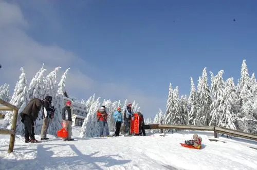 Hotel und Berggasthof Spießberghaus am Rennsteig