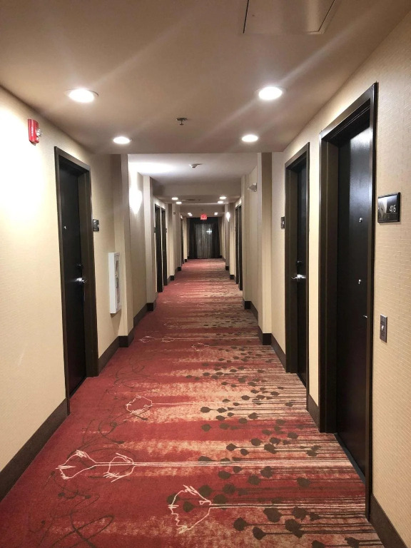 Hampton Inn Augusta Fort Eisenhower