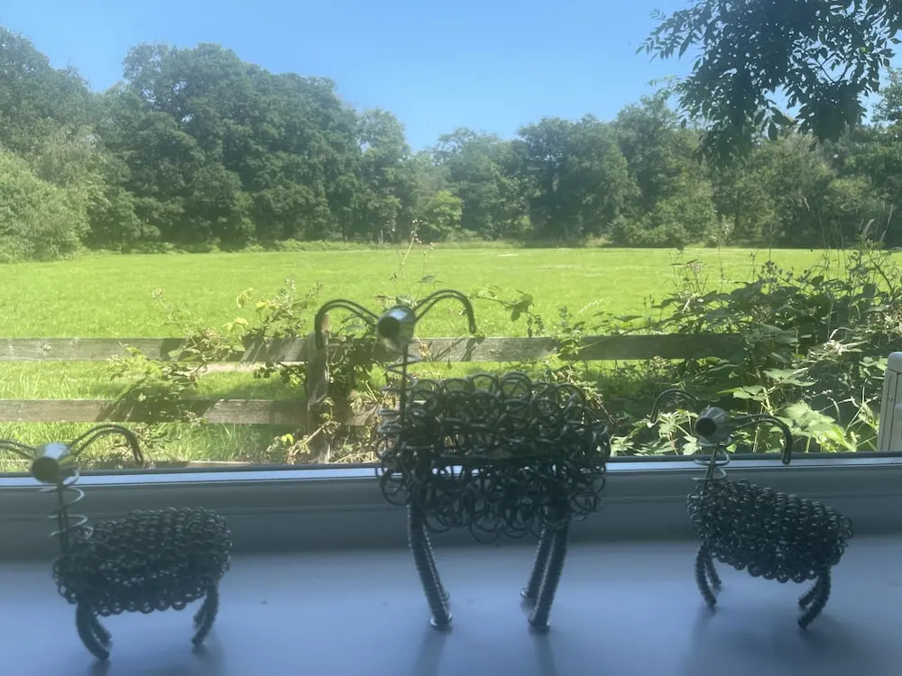Village Limits Bed and Breakfast Rooms