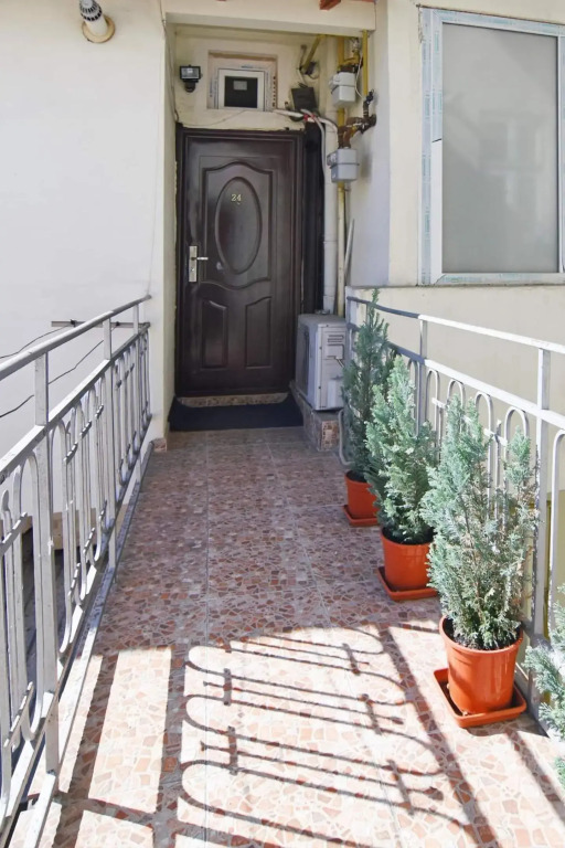Carol Studio