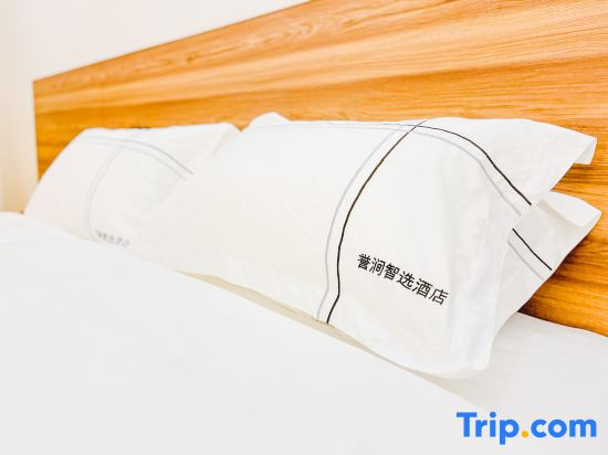 Yujian Zhixuan Hotel (Dujiangyan High-Speed Rail Station Sunac Park)