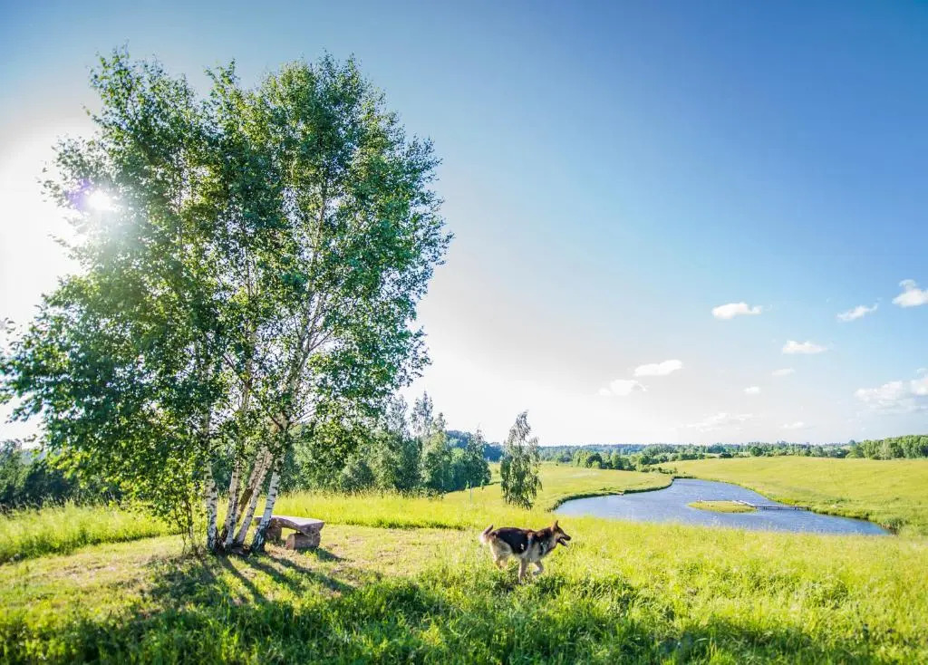 Storių sodyba