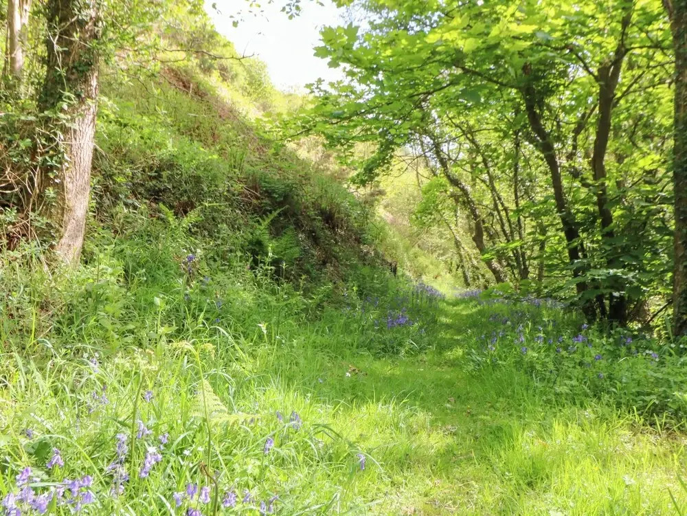 Glyn Yr Efail