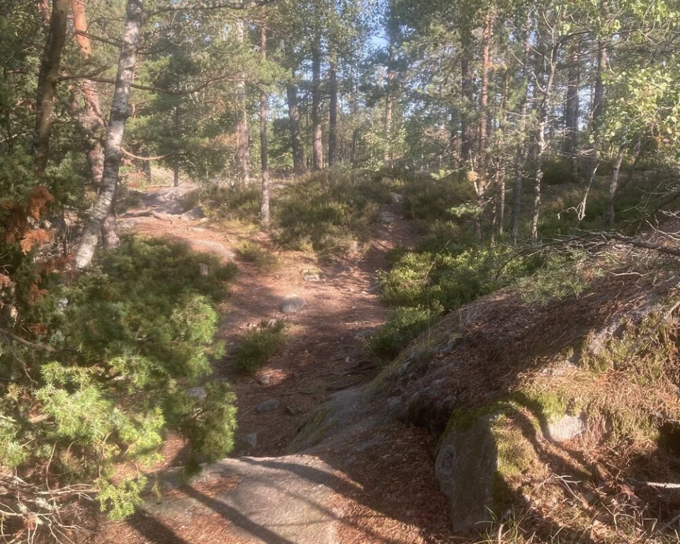Luxurious Studio Within Nature Next to Stockholm