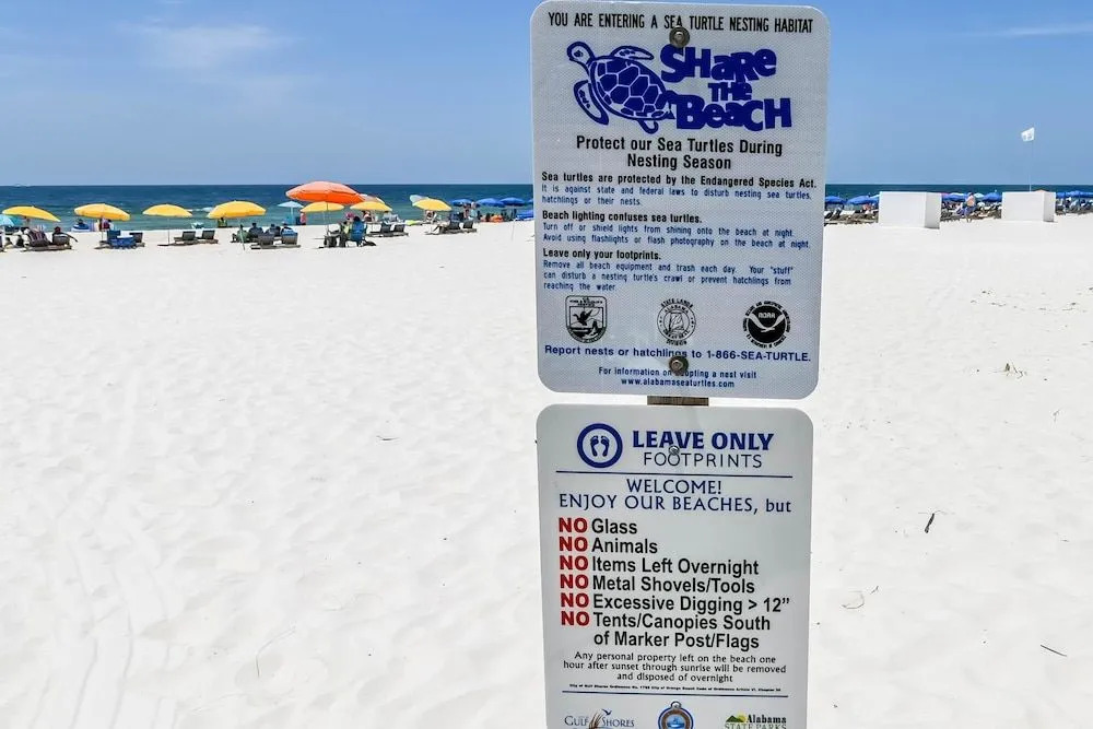 Gulf Shores Surf & Racquet Club 306C