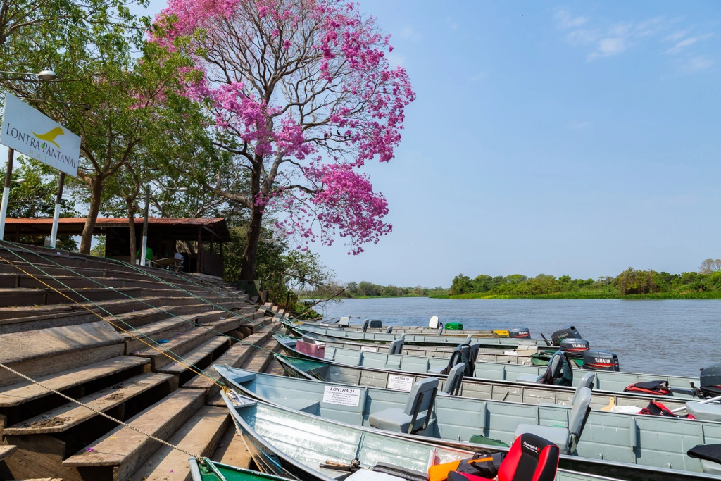 Lontra Pantanal Hotel