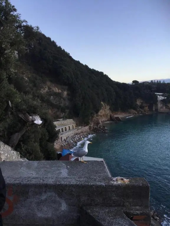 La Terrazza al tramonto