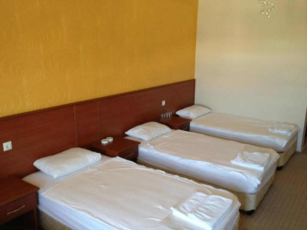 Hotel Demirdag