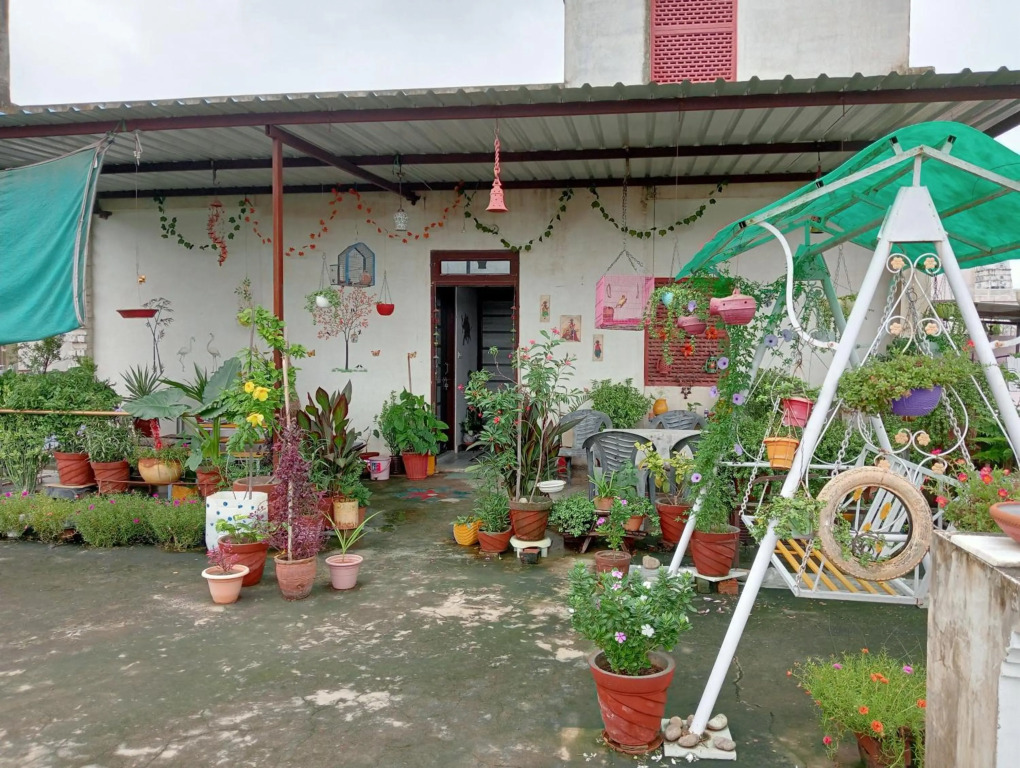Jaipur Marigold Homestay