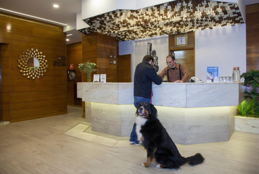 Casual Inca Porto by Casual Hoteles