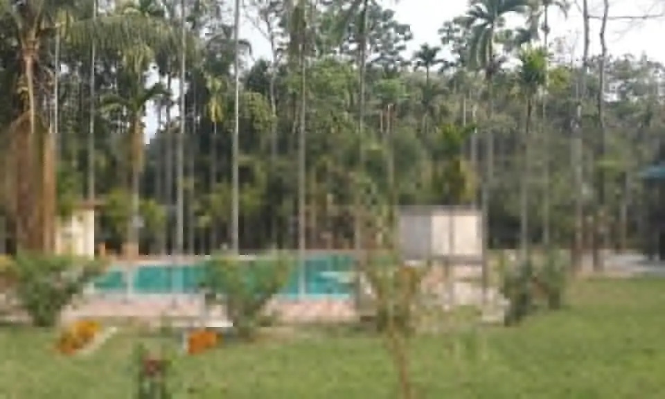 Infinity Resort Kaziranga