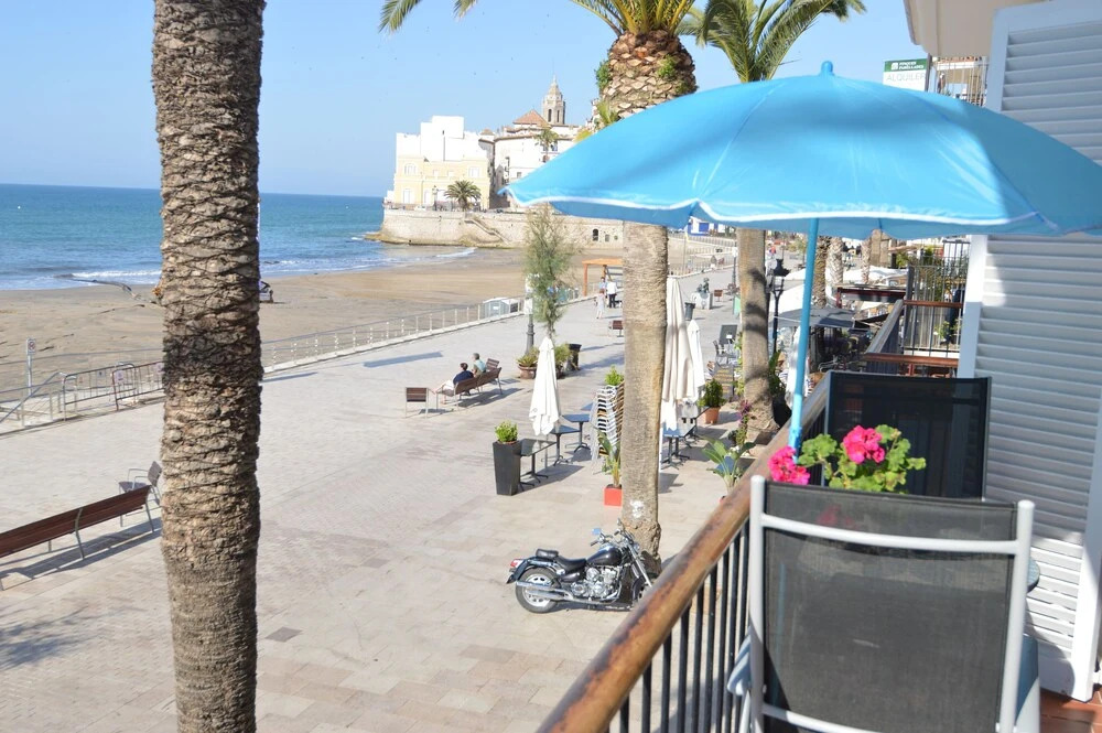 Beach and Garden