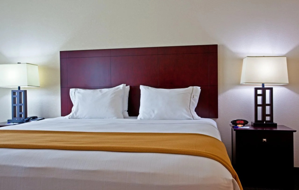 Holiday Inn Express & Suites Chicago West-OHare Arpt Area by IHG