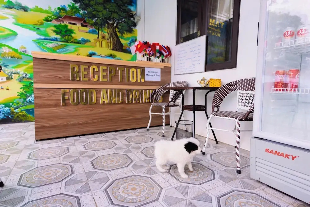 mountain flower bungalow homestay