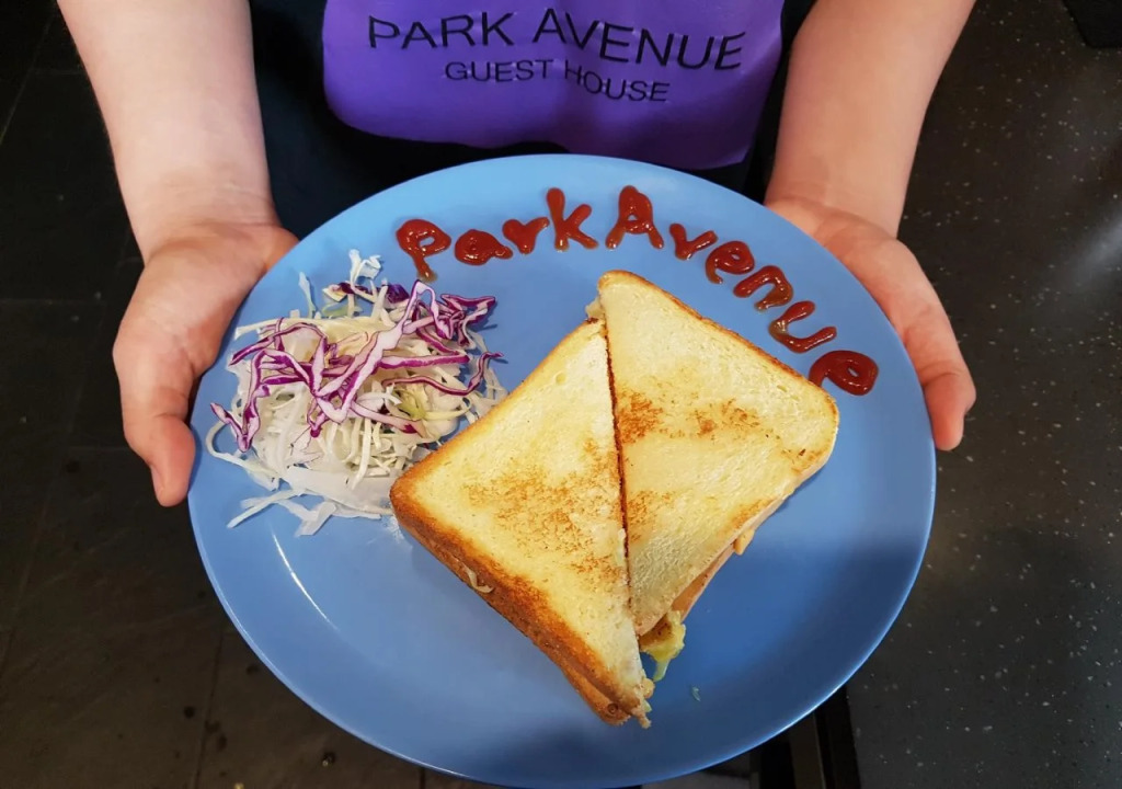 Park Avenue Guest house
