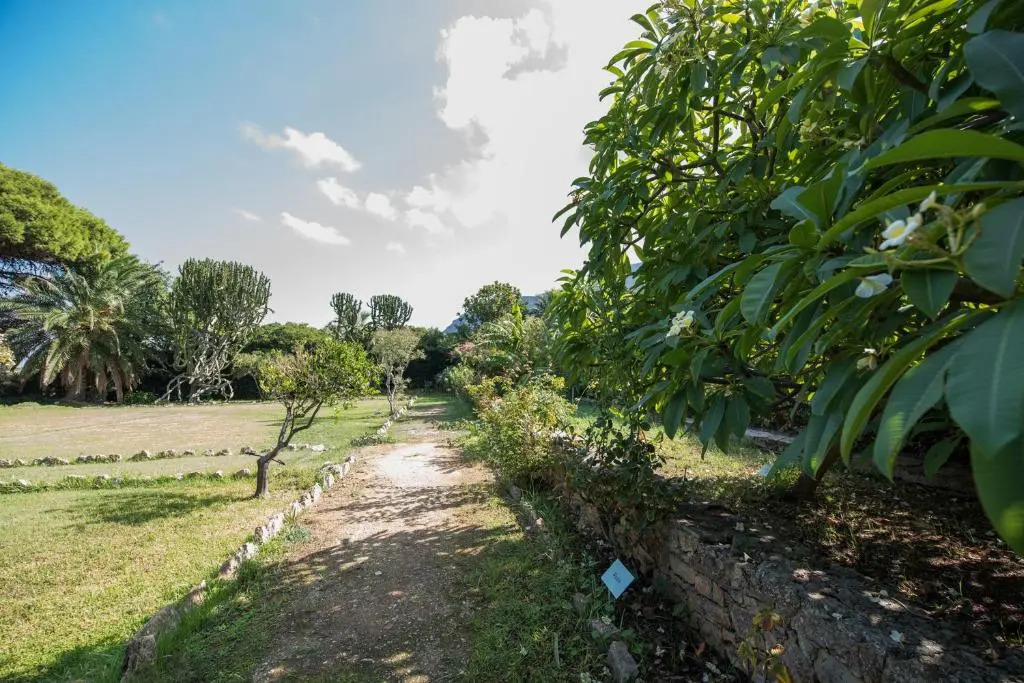 Azienda Agrituristica Tenuta Pizzolungo